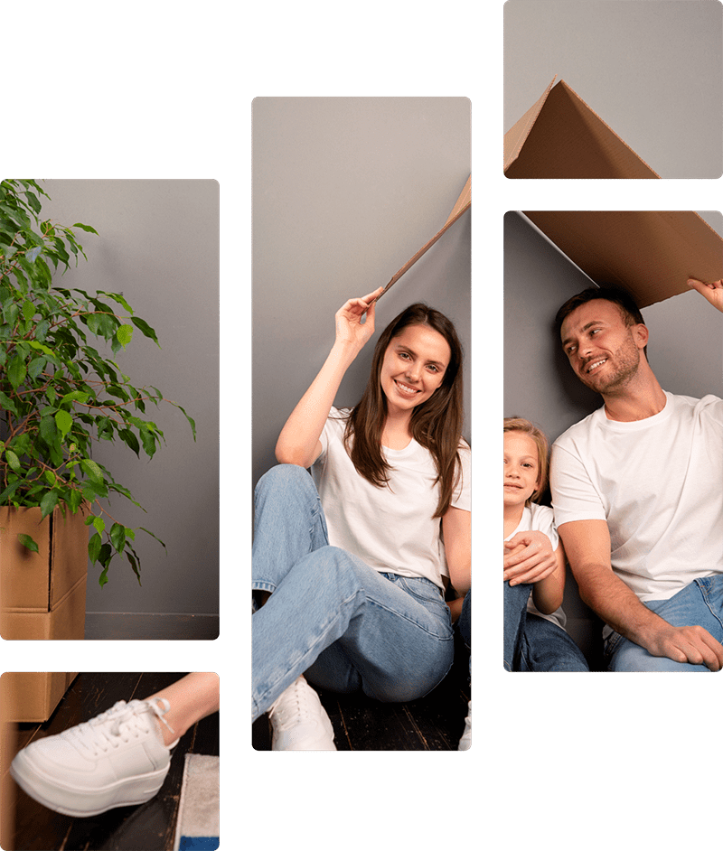 Imagem intro telha sanduíche brasília